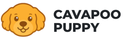 cavapoo-puppy.dog
